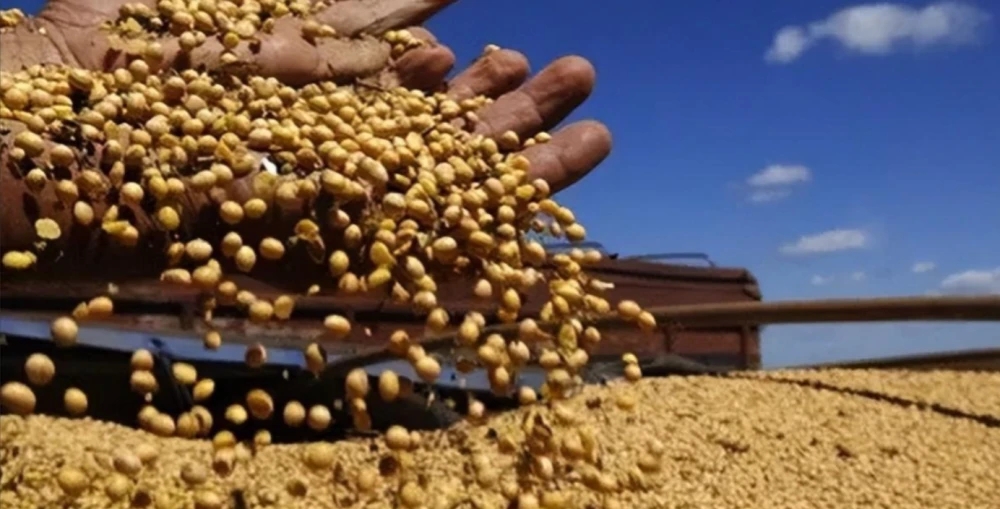 旱情超出想象？美国罕见将阿根廷大豆产量预估下调20%