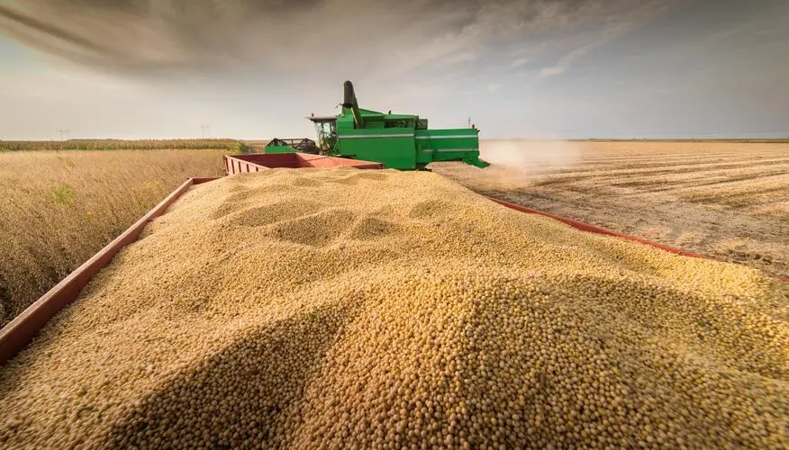 俄哈巴罗夫斯克边疆区1-10月向中国出口9万余吨大豆