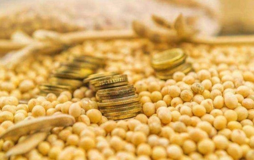 拿督欧麦尔：大商所推出的豆系商品期权 更好地满足国内外大豆生产的风险管理需求